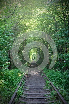 Railway between the trees that create a tunnel of green leaves.