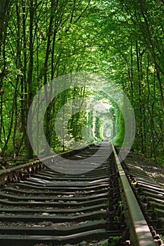 Railway between the trees that create a tunnel of green leaves.