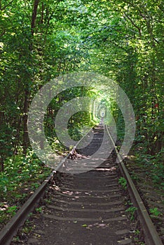 Railway between the trees that create a tunnel of green leaves.