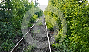 Railway between the trees that create a tunnel of green leaves