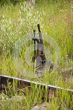 Railway turnout in grass