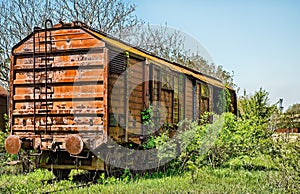 Railway wagon captured by vegetation.