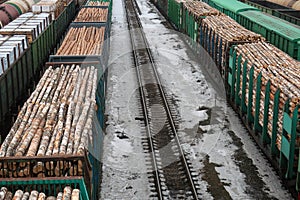 Railway wagons loaded with logs