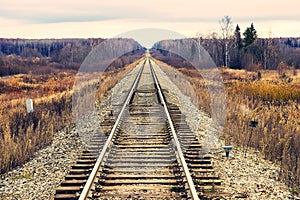 Railway in yellow autumn forest