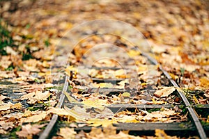 Railways autumn leaves