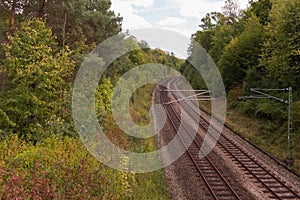 Railways leading through a German forest