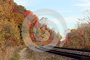 Railways and magical autumn forest