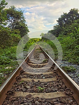 Railways nature and forests