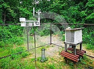 Rain Background Measurement and Analysis in the Forest