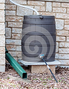 Rain Barrel