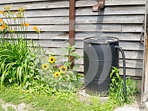 Rain Barrel photo