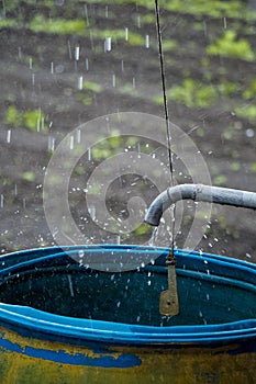 Rain Barrel with a tap