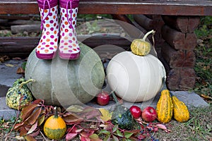 Rain boots and pumpkins