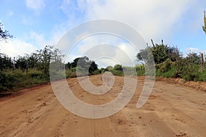 Rain in caatinga - wet clay road after heavy rains photo