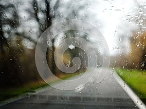 Rain car windshield driving forest