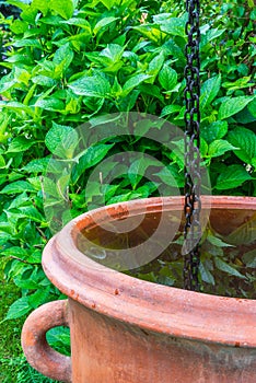 Rain chain with water tank in garden