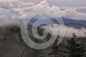 Rain Clouds crossing a ridge top just below Clingmans Dome GSMNP