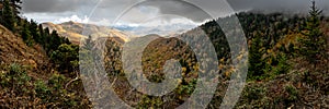 Rain Clouds Gater Over Gnarly Bushes Overlook Fall Colors