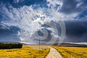 Rain clouds gathering at the hiking path between vast yellow grass field