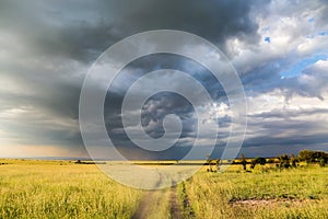 Rain clouds over Amboseli