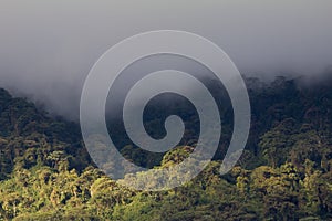 Rain clouds over cloud forest, Ecuador