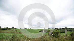 Rain clouds over a developing soy plantation