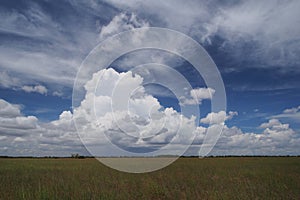 Rain clouds over the Everglades.