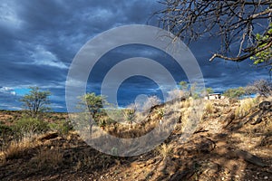 Rain clouds over the Khomas Highlands, Namibia