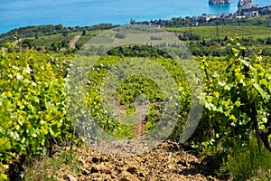 Rain clouds over mountains and a valley with a green vineyard