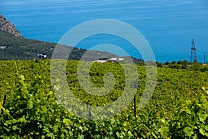 Rain clouds over mountains and a valley with a green vineyard