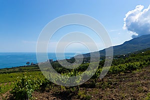 Rain clouds over mountains and a valley with a green vineyard