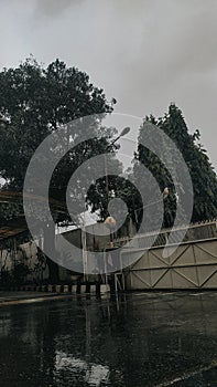 Rain cold green sad estetika