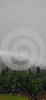 Rain coming at the mountain