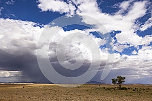 Rain from cumulus clouds in the desert