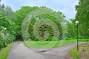 After rain in Dendrology garden in Pereslavl-Zalessky city