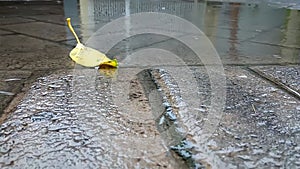 Rain drizzles at day, drops fall and splash, pavement is filled with water, grainy texture of water