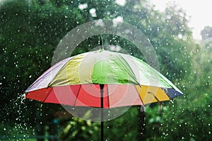rain drop falling onto colorful umbrella and green photo