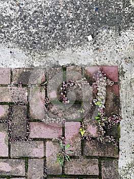 Rain drop on stone pavement with grass.