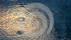 Rain drop on the surface of swiming pool.