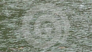 Rain drop water close-up, Heavy rainfall sprinkle scene pouring rain rainy weather summer day. Rain drizzle water heavy