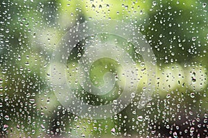 Rain drop on window glass with blur tree background.