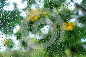 Rain droplets on surface of car glass with blurred green nature background and flowers through window glass of the car