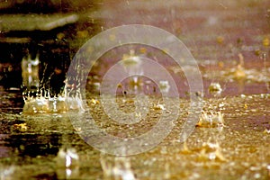 A rain droplets photo