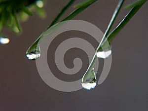 Rain drops