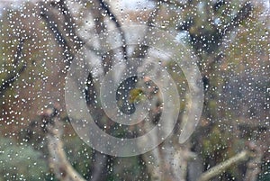 Rain drops against a window glass.