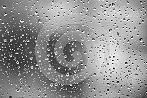 Rain Drops. B&W. Window. Glass