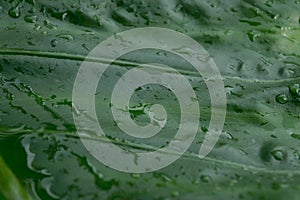 Rain Drops On Black umbrella. Extreme Close-up. Falling Rain drops on parasol. Abstract texture pattern. Rainy Season Nature