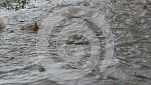 Rain drops fall on a huge landslide with a flowing dirty big puddle. Natural disaster