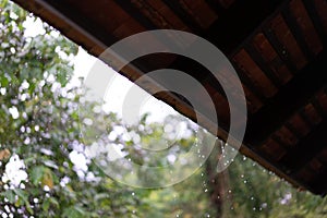 Rain drops falling from roof with bokeh background