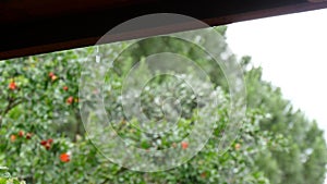 Rain drops falling from roof`s eave during rain